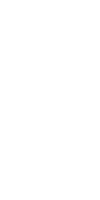 maple leaf icon